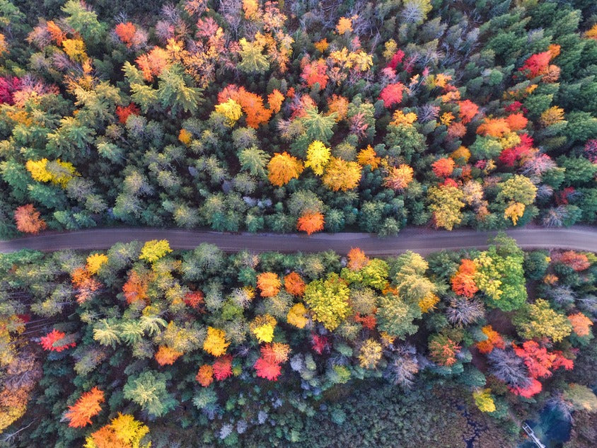 Six Ways To Get Involved In Earth Day 2023