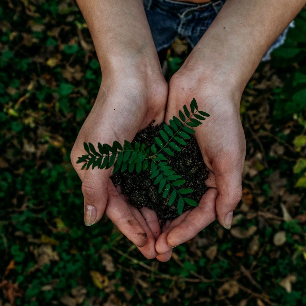 is bamboo recyclable?