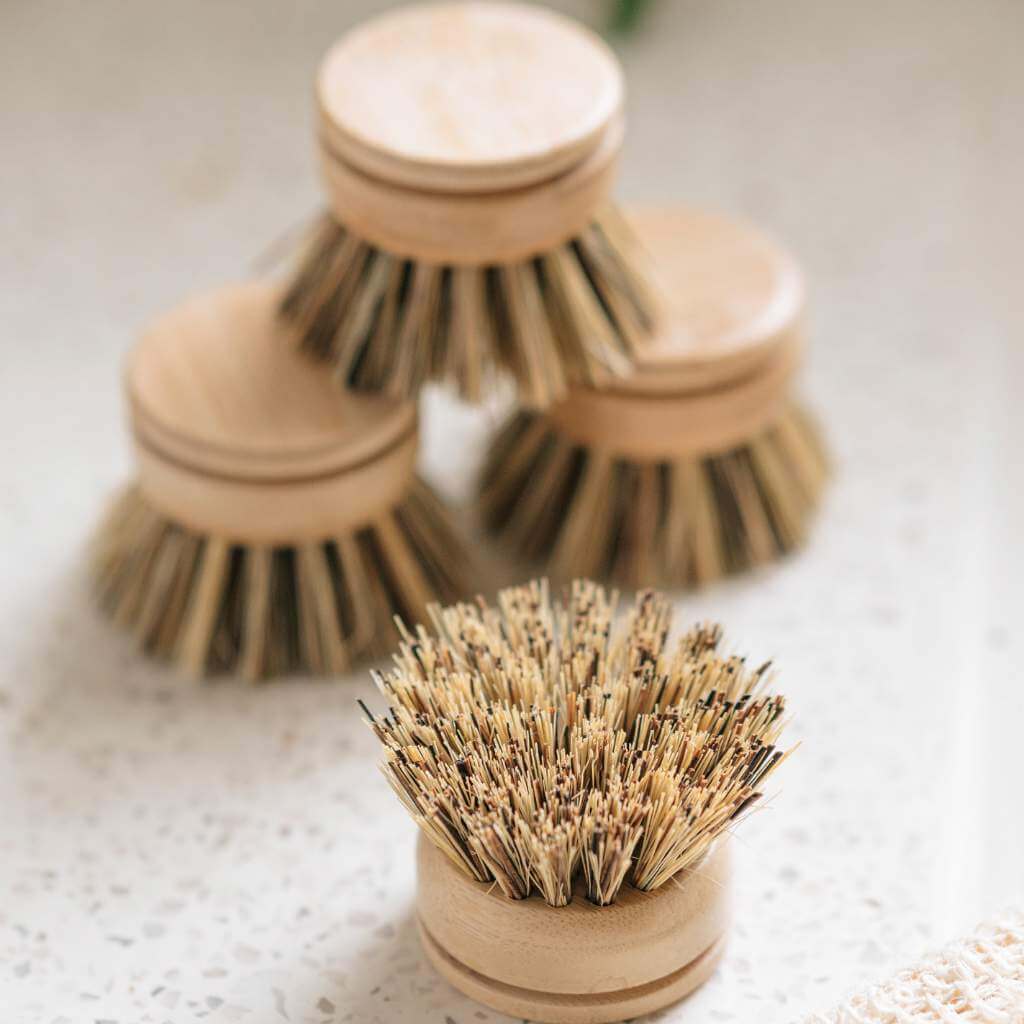 firm replacement head for bamboo dish brush