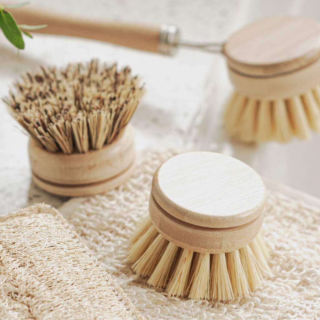 organic dish brush head