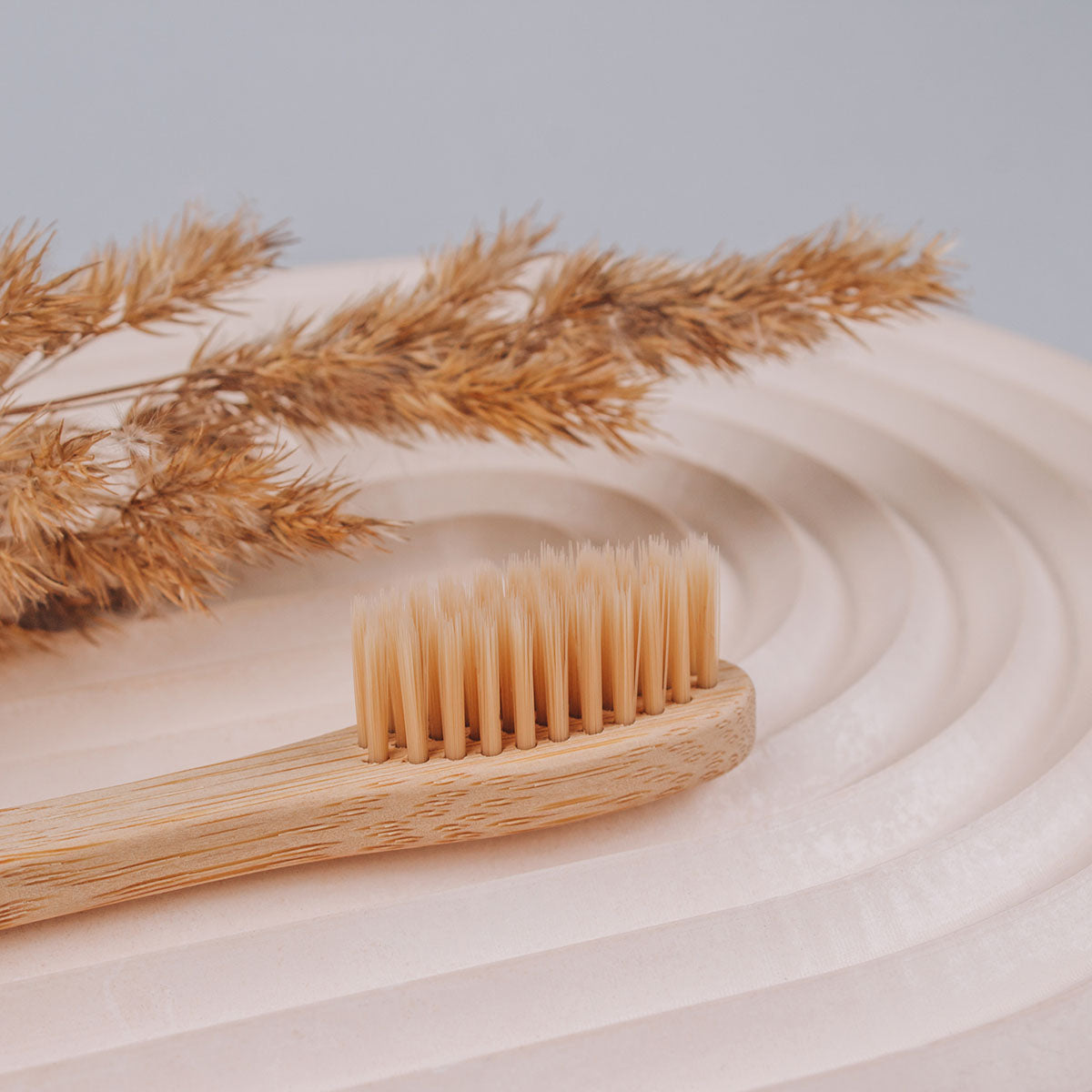 Natural Bamboo Toothbrushes 