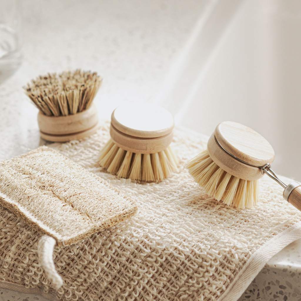 eco friendly dish brushes