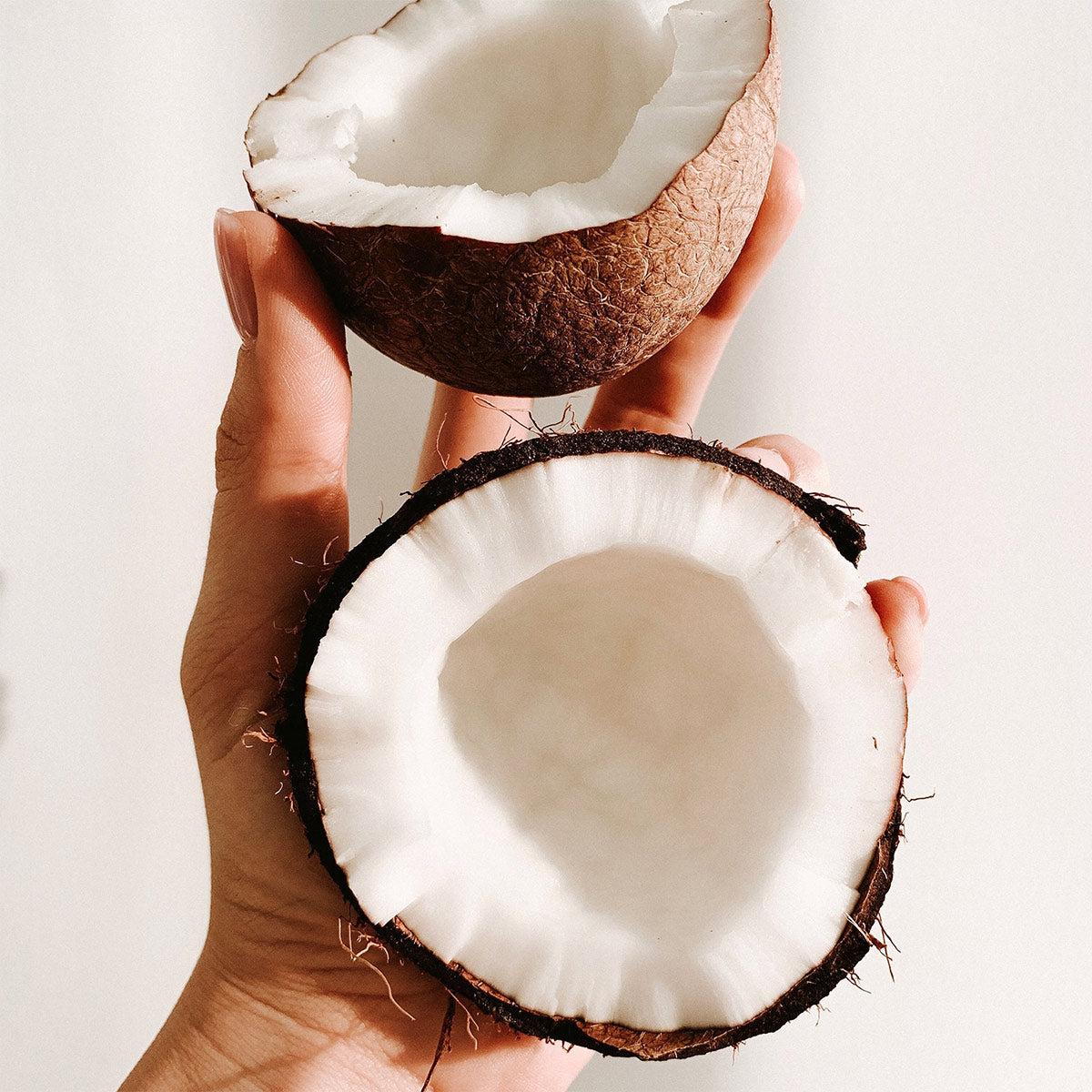 Coconut Shell Bowls How long do coconut bowls last?