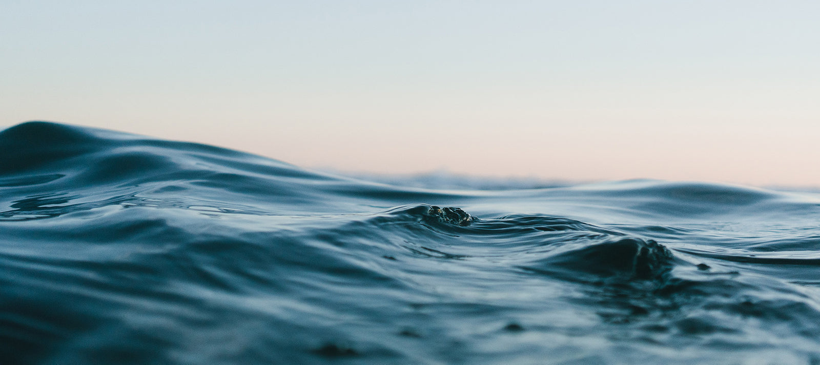 Jungle Culture Zero Waste