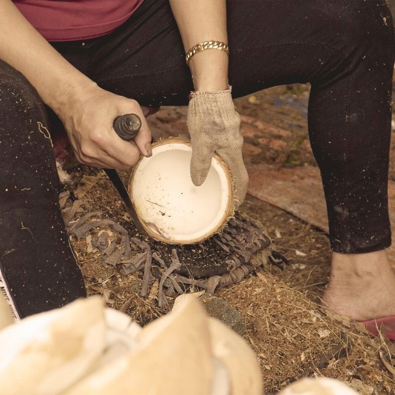 Natural Coconut Buddha Bowls