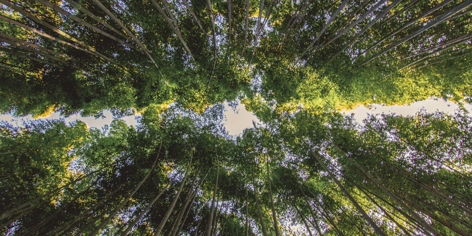 Reusable Drinking Straws For Businesses