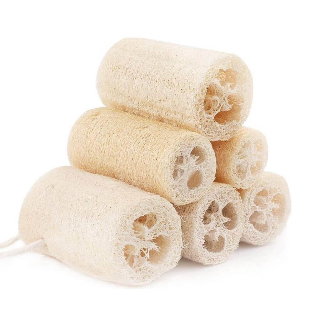 https://jungleculture.eco/cdn/shop/files/natural-loofah_1_1600x.jpg?v=1691493131