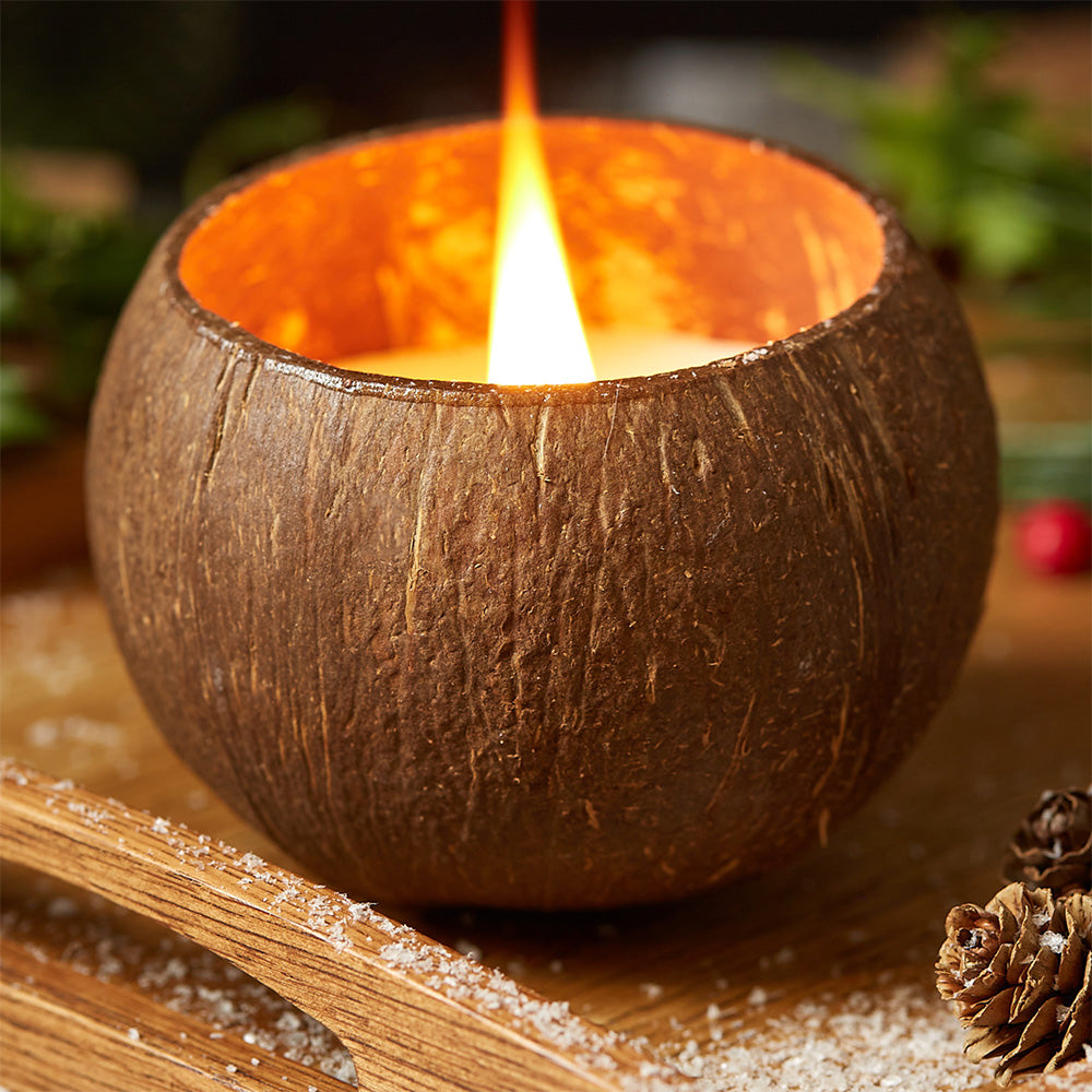 coconut palm candle Coconut Shell Candle - Toasted Coconut Scent