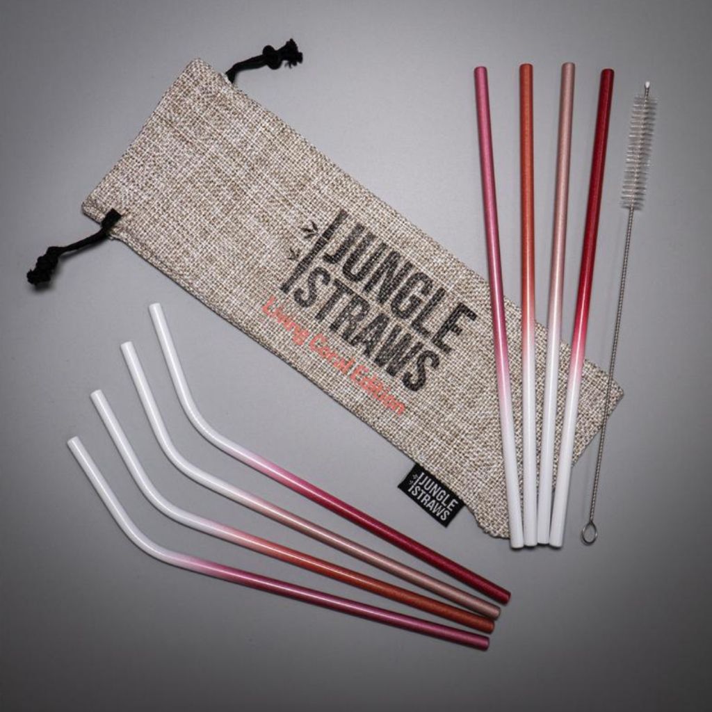 Unique Stainless Steel Straw Gift Set